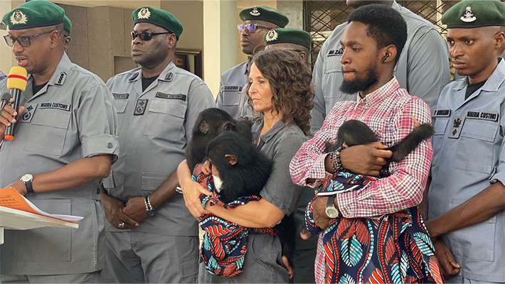 suspects arrested in connection with wildlife trafficking