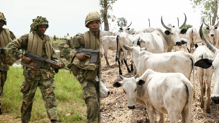 Armed soldiers, cows