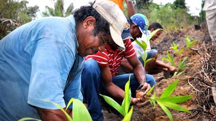 Brazilian farmers