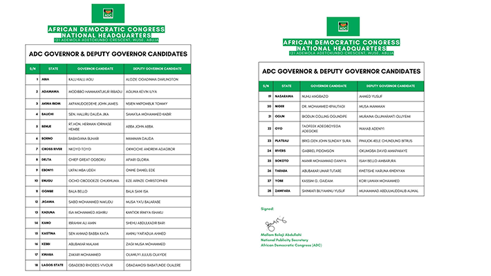 list of 28 governorship candidates