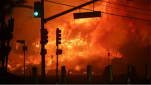 Wildfires