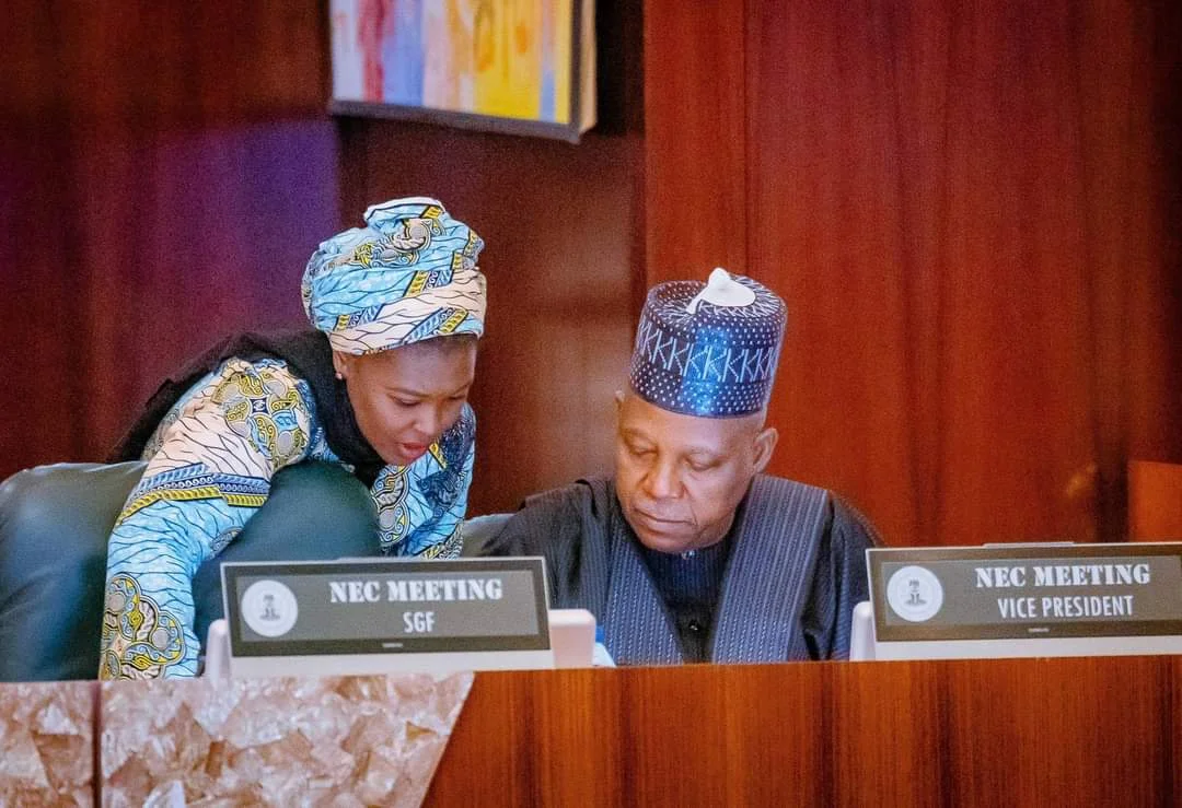 Vice-President Kashim Shettima