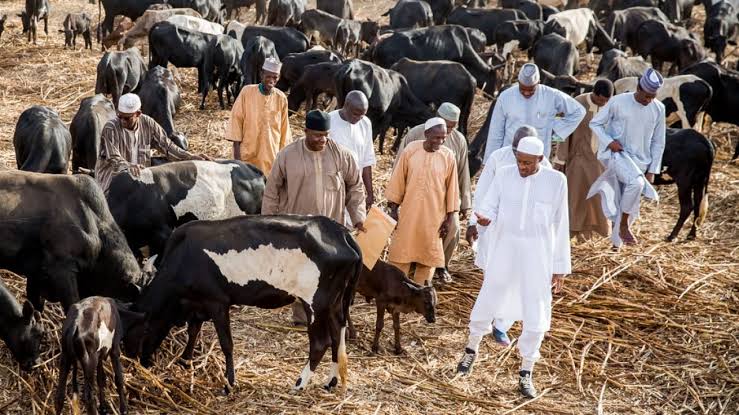 President Muhammadu Buhari in his ranch