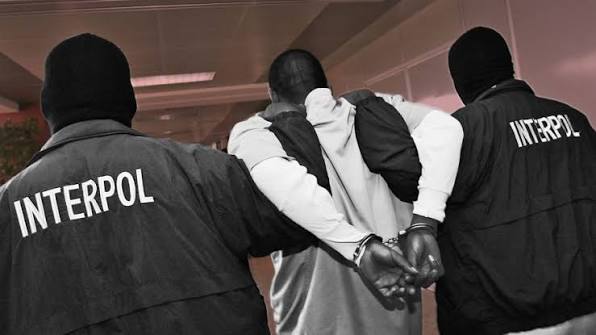 International Criminal Police Organisation (INTERPOL)