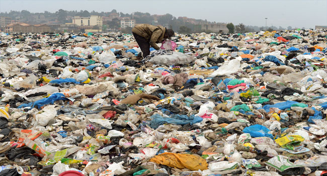 Plastic bags waste