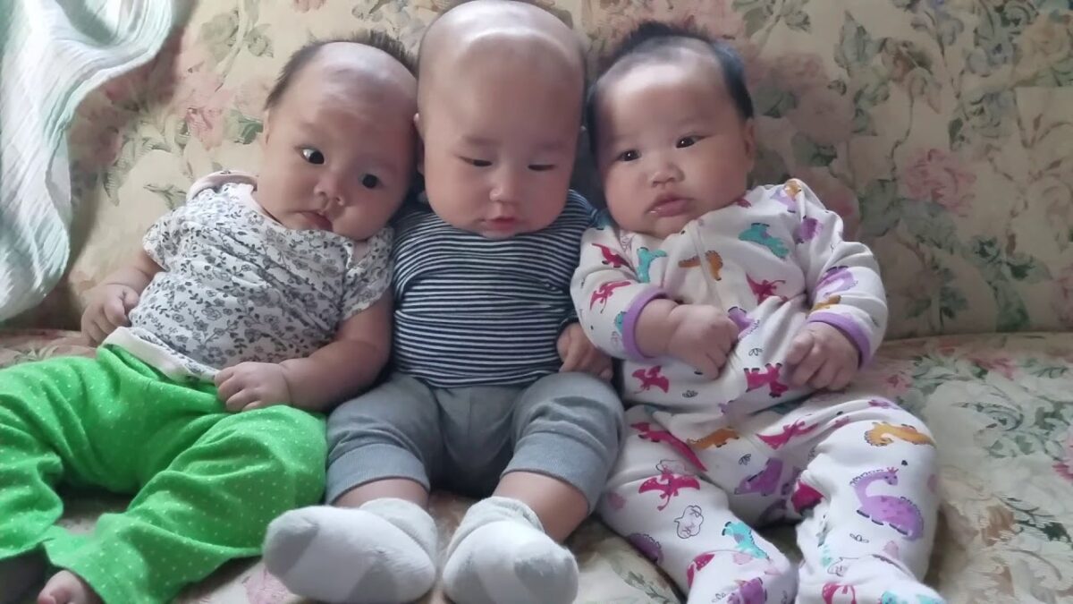 babies