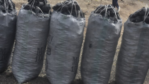 Sacks of charcoal