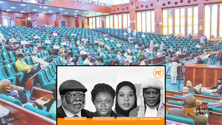 Kayode Ariowoola and hsid daughter Oluwakemi Victoria Ariowoola and parliament