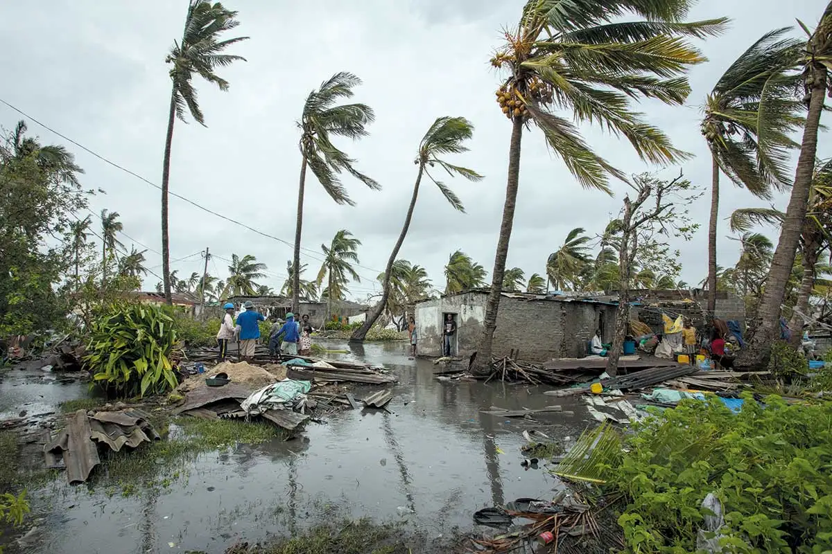 Mozambique havoc