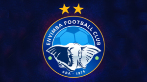 Enyimba International FC