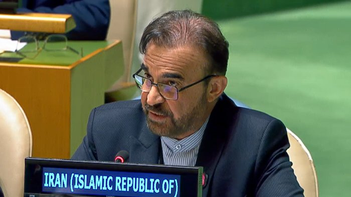 Iran's Delegate