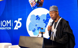 Governor Babagana Zulum