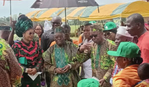 Afe Babalola