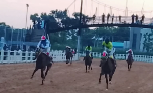 Renewed Hope Horse Racing Tournament, West African Derby 2026, in Kaduna