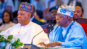 Vice-President Kashim Shettima