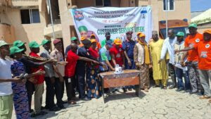 NEMA Customers Service Week celebration in Niger