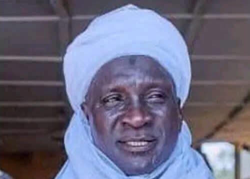 Niger monarch 