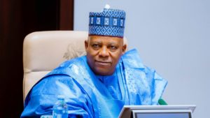 Vice President Kashim Shettima