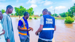 Yobe State Emergency Management Agency at the community