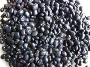 Cowpea seeds