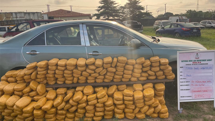 NDLEA seize 5356.7kg of illicit drugs